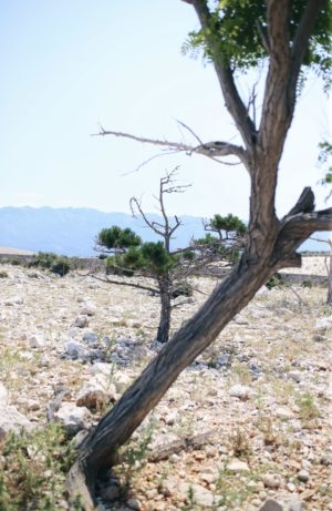 Abenteuer Kroatien: Segeln mit 5 Kindern und jede Menge Tipps | Pinspiration.de