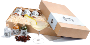 Drink Syndikat Cocktail Box