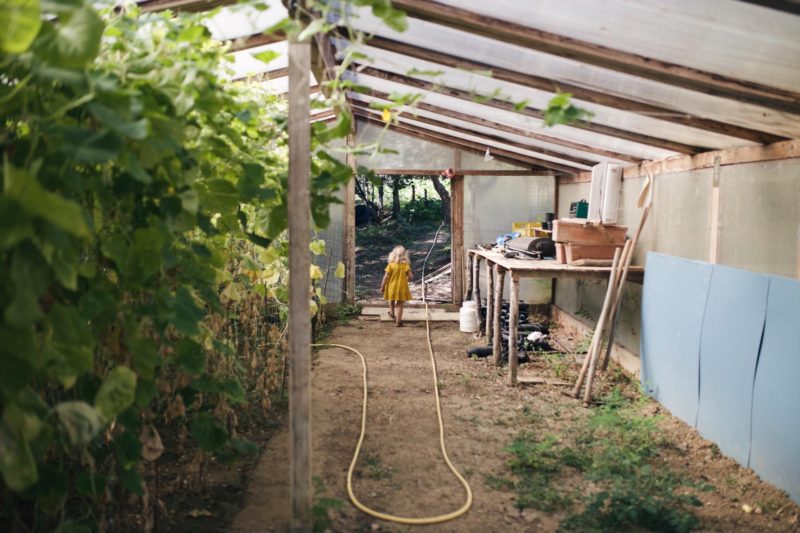 Ein toskanisches Familienparadies: Der Bio-Bauernhof Fattoria La Vialla Teil 1 #agriturismo #biobauernhof #urlaubmitkindern #toskanamitkindern #famileinurlaub #fattorialavialla | www.pinspiration.de