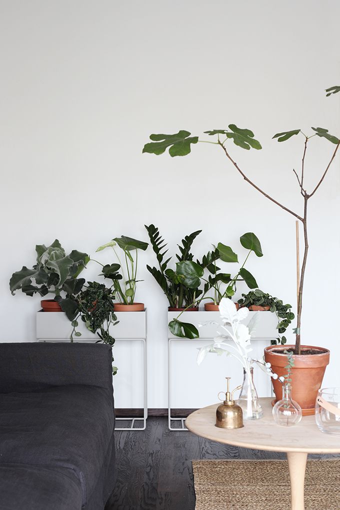 Pinterest Pinner Interview: Urban Jungle Bloggers grünes Zuhause