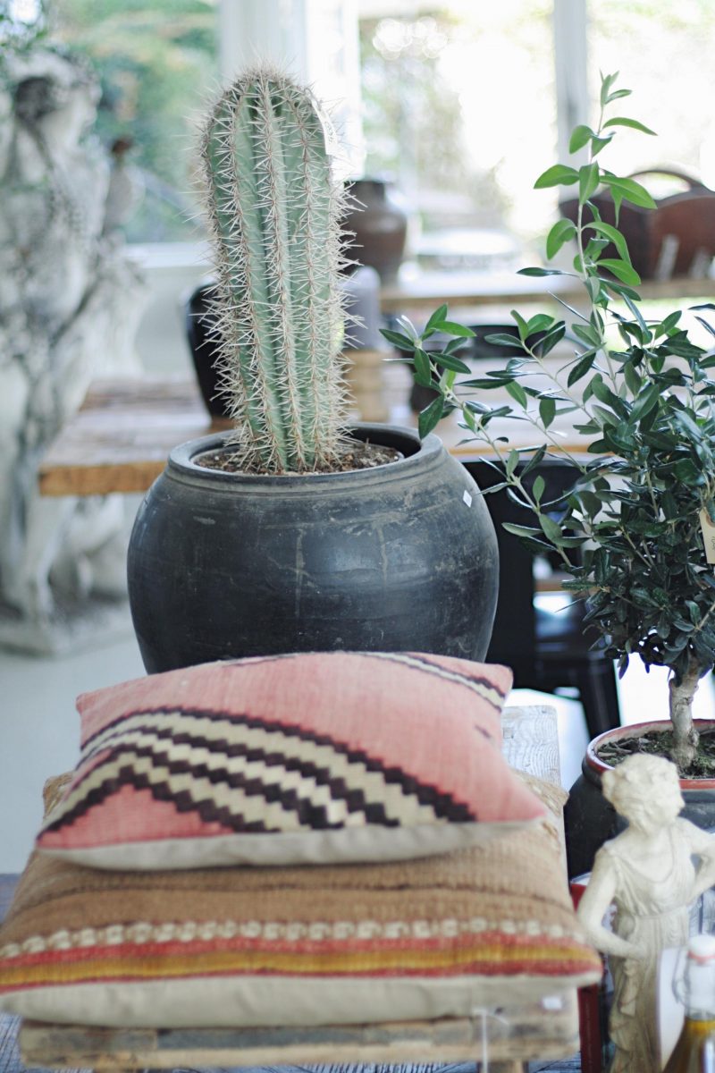 Interior-Idylle in Hornbæk: Bord & Bænk & jede Menge Tipps für Dänemark mit Kindern | Pinspiration