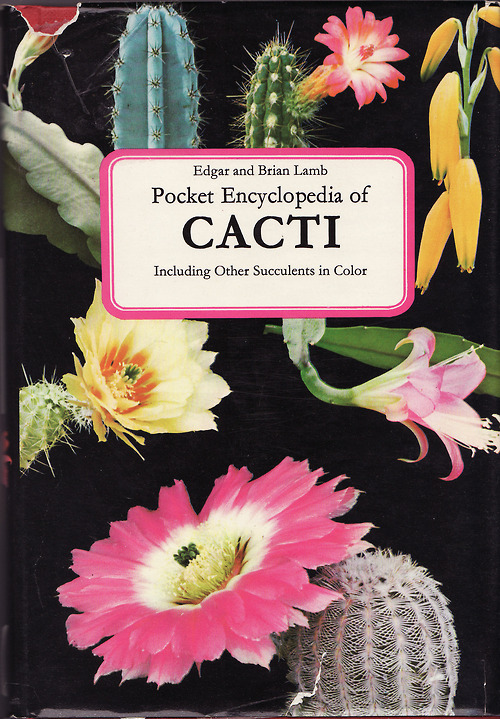 Pocket Encyclopedia of cacti