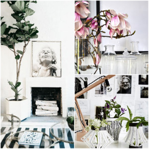 Urban Jungle Bloggers Blumen Interior