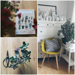 Urban Jungle Bloggers Collage Pflanzen Frankie Magazin