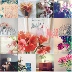 Urban Jungle Bloggers herzundblut instagram