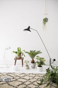 mundadaa inspiration